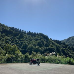 静寂かつ大自然満載のR352