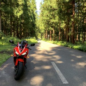 銀山平手前林間ルートでのCBR650Rショット