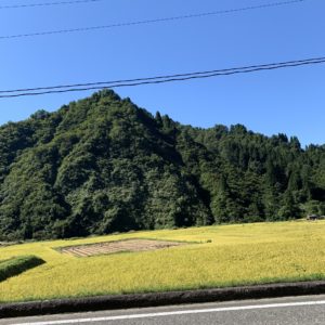 米どころ「魚沼市」の田んぼ風景