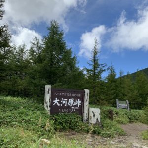 緑が美しい蓼科スカイライン「大河原峠」