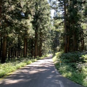 銀山平手前の林間ルート@R352