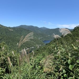 さらに緑に囲まれた奥只見湖