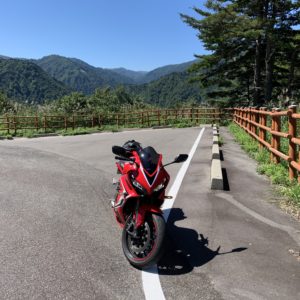 緑の山々に囲まれた奥只見湖ビュー