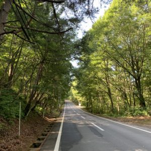 蓼科スカイラインの林間コース