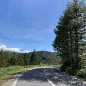 緑と青空の広がる美ヶ原スカイライン①