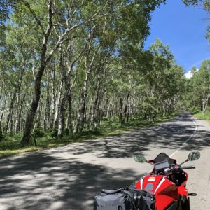 ビーナスライン北の美ヶ原公園西内線にて