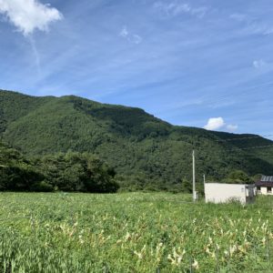 二車線快走ルート・美ヶ原公園沖線／上田市エリアの田園風景