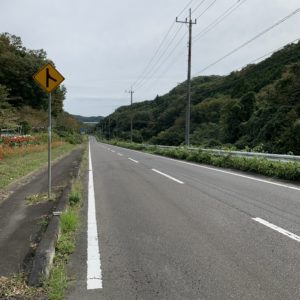 真っすぐの後のカーブ発見グリーンふるさとライン