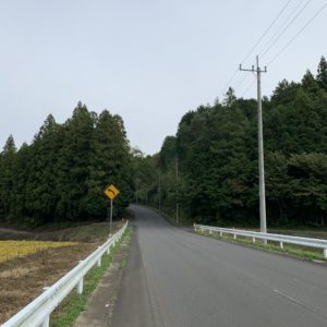 自然の林間部を抜けるビーフライン