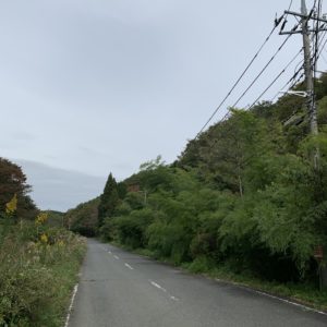 えんじと黄色と緑のコンストラスト風景＠グリーンふるさとライン