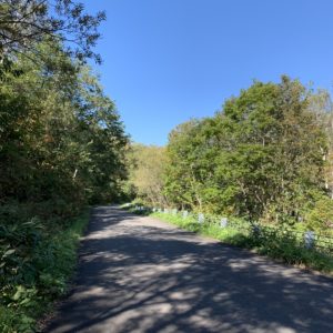 道路コンディションGood。奥志賀公園栄線①