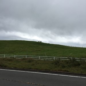 昨年の「霧降」高原道路