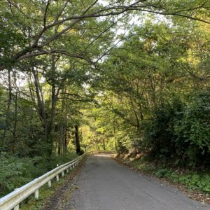 奥利根ゆけむり街道・渓流沿いを走る