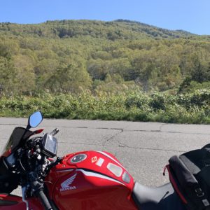 志賀高原プリンスホテルエリアの紅葉手前の風景