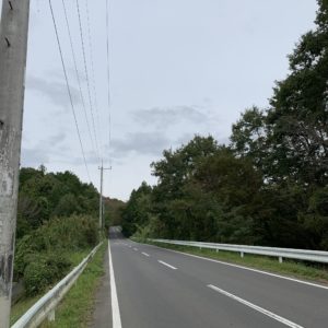 またもや真っすぐに~フルーツライン