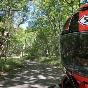 美しい山王林道で思わず自撮り