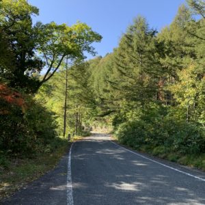 山の緑を抜ける奥利根ゆけむり街道