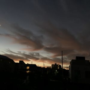 早起きして出会えた早朝の風景