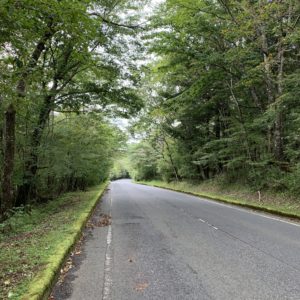 富士山スカイライン・樹林帯エリア