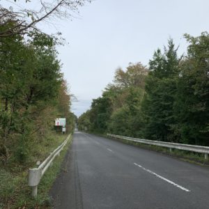 真っすぐに逆戻り、ビーフライン②