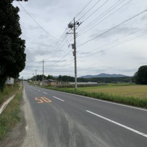 まっすぐ多し、フルーツライン