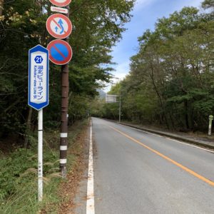 樹海の中を走る湖北ビューライン