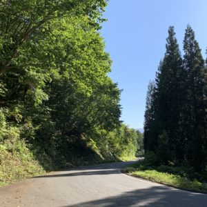 野沢温泉スキー場の下りルート風景②