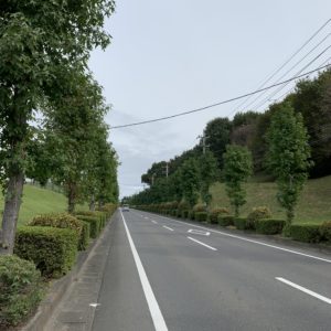 グリーンふるさとラインスタート付近