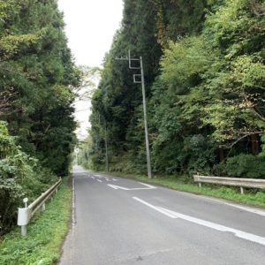 真っすぐに逆戻り、ビーフライン