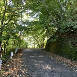 The悪路、山王林道