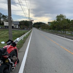 のびやかに真っすぐなr17