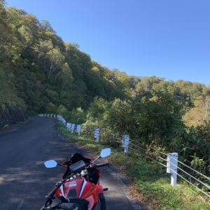 スカイラインっぽいルート風景