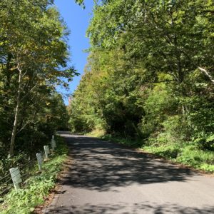 道路コンディションGood。奥志賀公園栄線②