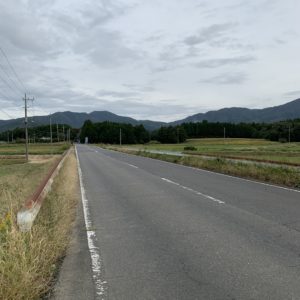 まっすぐ多し、フルーツライン②