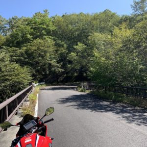 山王林道でとある眺望が開けた橋の上でのショット②