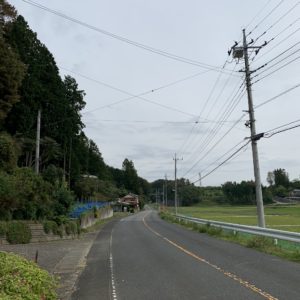 少しカーブが増えてきたフルーツライン