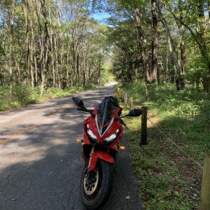山王林道、楽しいルートでした!