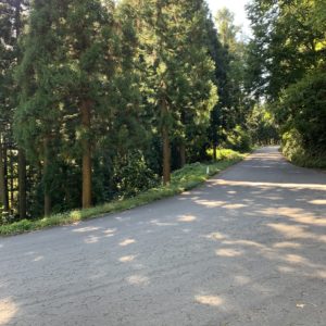 野沢温泉スキー場の下りルート風景①