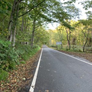 走りやすい～奥利根ゆけむり街道