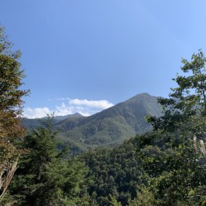 山王林道治山碑駐車場から見える山々の眺望