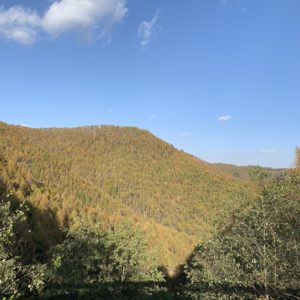 霊峰ラインからの旅愁あふれる秋らしい風景