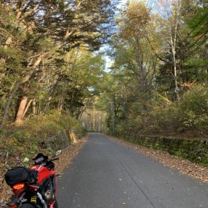 御岳ブルーラインの真っすぐな林間エリアwithCBR650R②