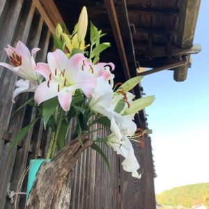 妻籠宿のある店先に飾られた百合の花