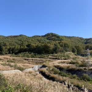 すすきの野原が広がるR152