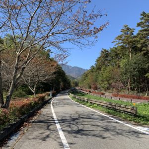 国営アルプスあずみの公園/大町松川地区沿いへ