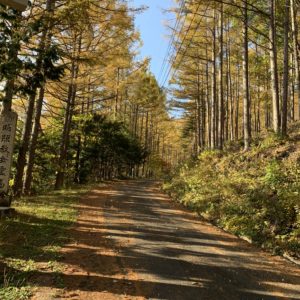 秋らしい林間ルートながら狭路＆悪路の霊峰ライン本番エリア