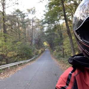 御岳ブルーラインの真っすぐな林間エリアwithCBR650R③