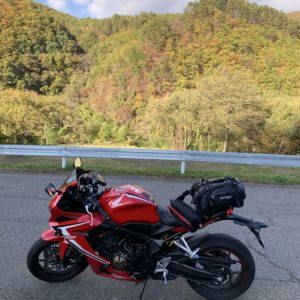 紅葉手前の風景がきれいな霊峰ライン