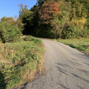 狭路1.5車線ロード@アルプス展望道路