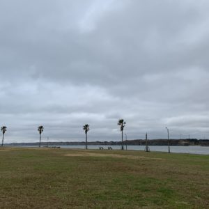 夏の晴れた日にビール飲んだら最高!の名洗港海浜公園